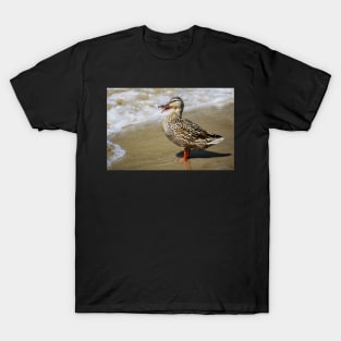 Well, isn't that just ducky! T-Shirt